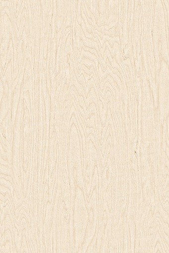 Fine grain of UV-finished birch